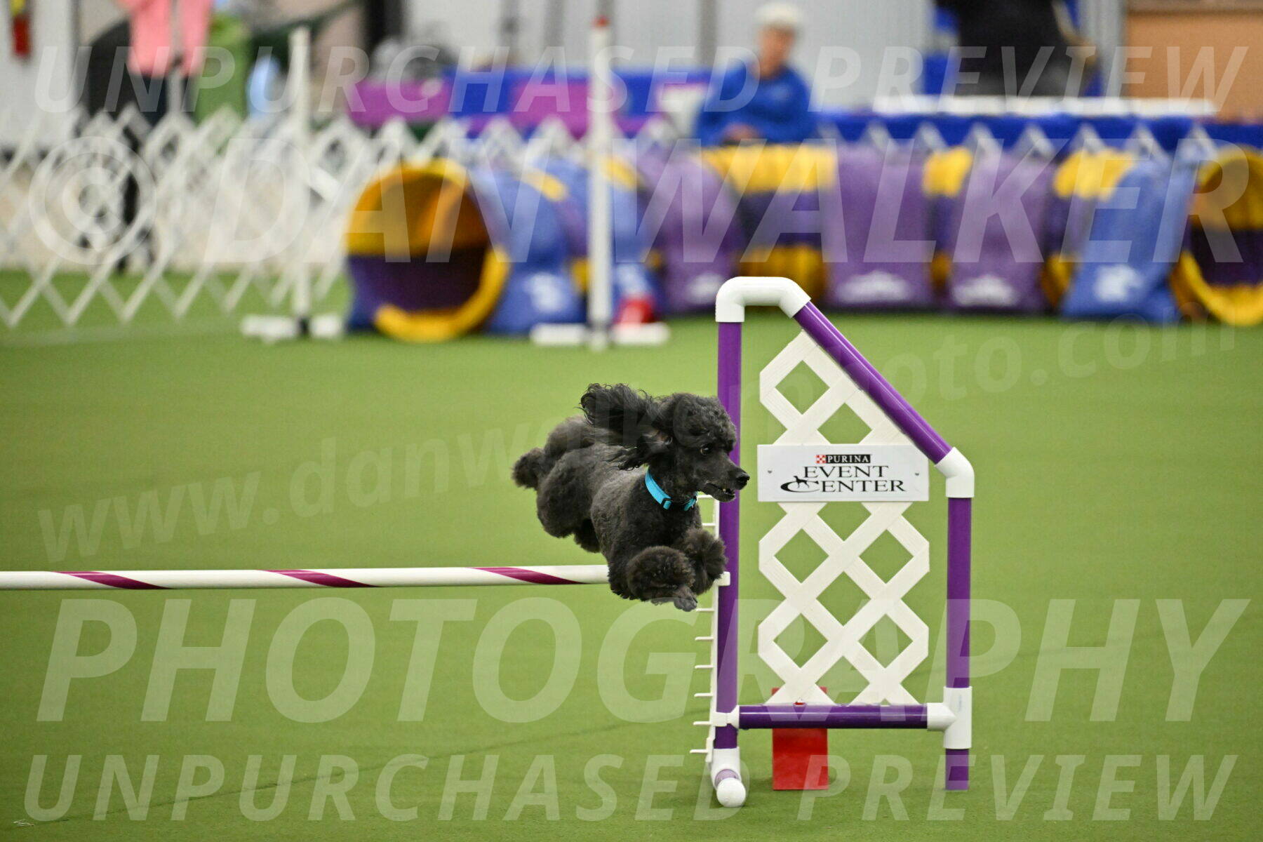 MAS-EX-JWW-16-Inch_2198