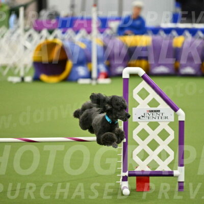 MAS-EX-JWW-16-Inch_2198