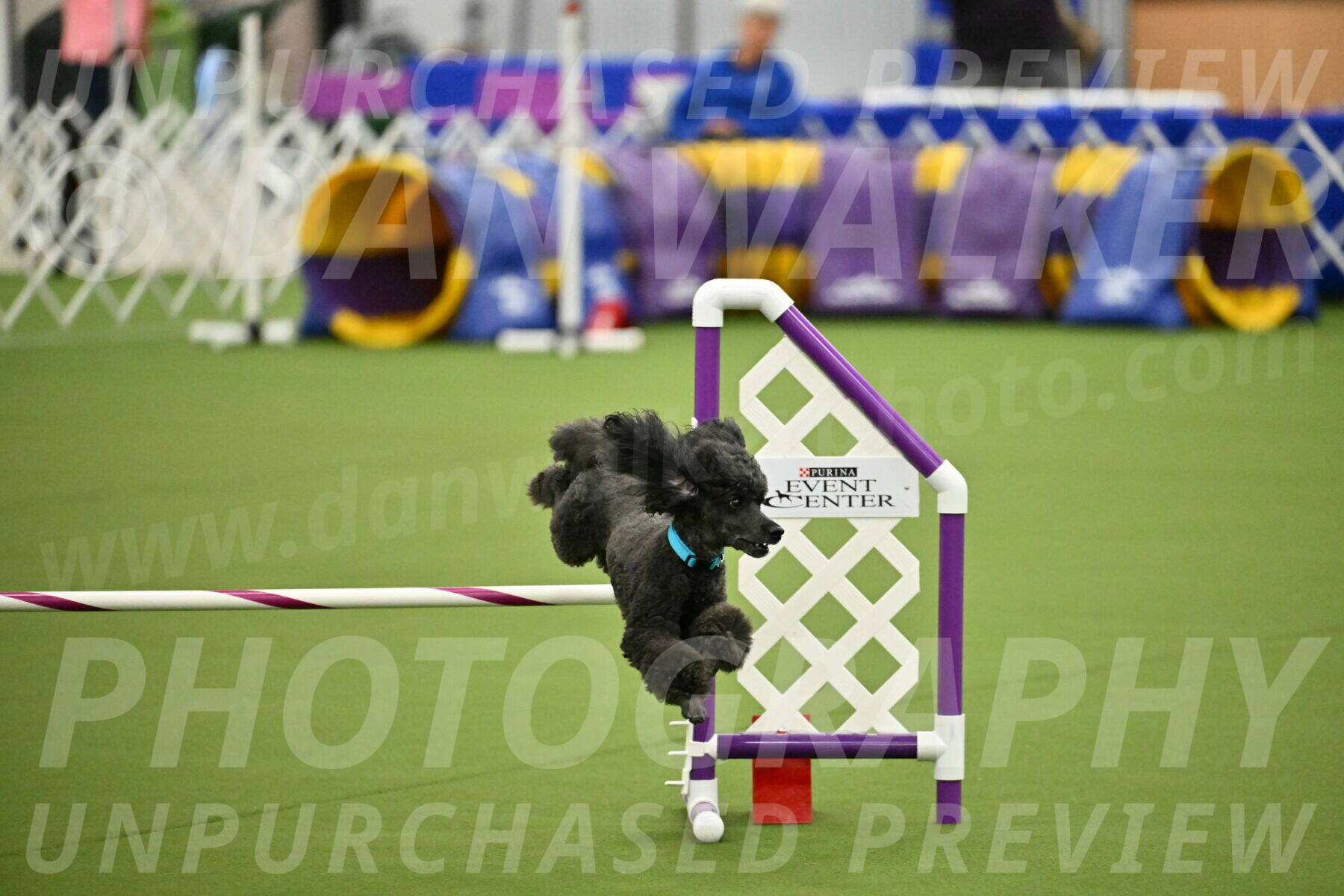 MAS-EX-JWW-16-Inch_2199