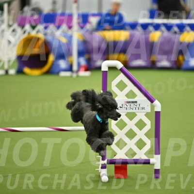 MAS-EX-JWW-16-Inch_2199