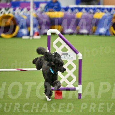 MAS-EX-JWW-16-Inch_2200