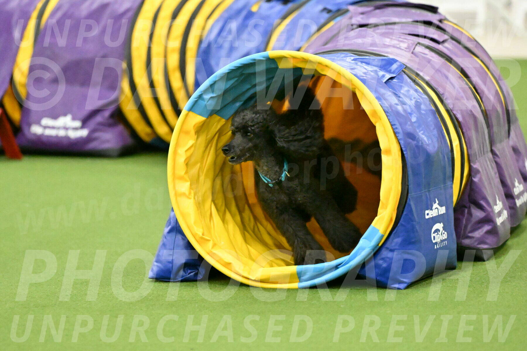 MAS-EX-JWW-16-Inch_2209