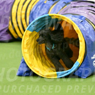 MAS-EX-JWW-16-Inch_2209