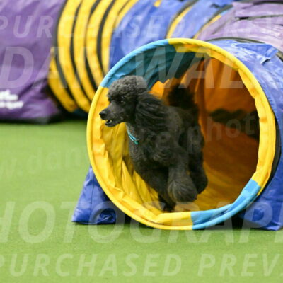 MAS-EX-JWW-16-Inch_2210