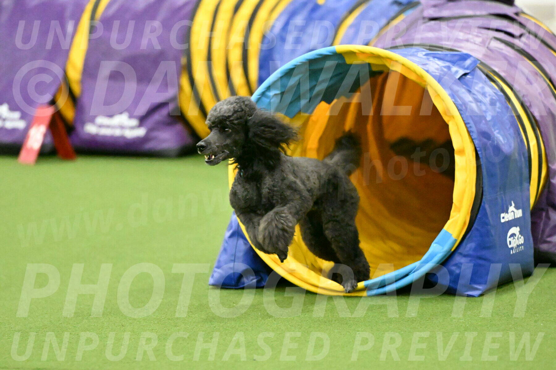 MAS-EX-JWW-16-Inch_2211