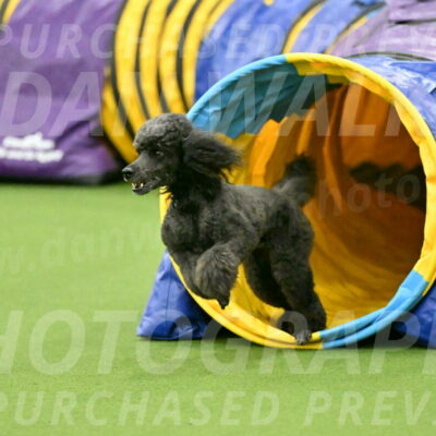 MAS-EX-JWW-16-Inch_2211