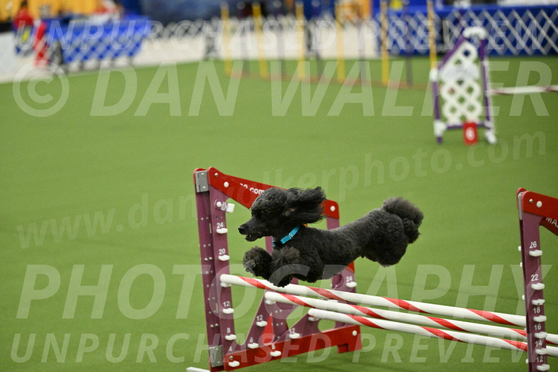 MAS-EX-JWW-16-Inch_2221