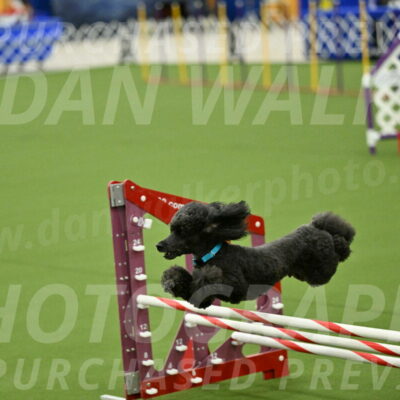 MAS-EX-JWW-16-Inch_2221