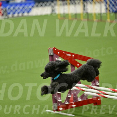 MAS-EX-JWW-16-Inch_2222