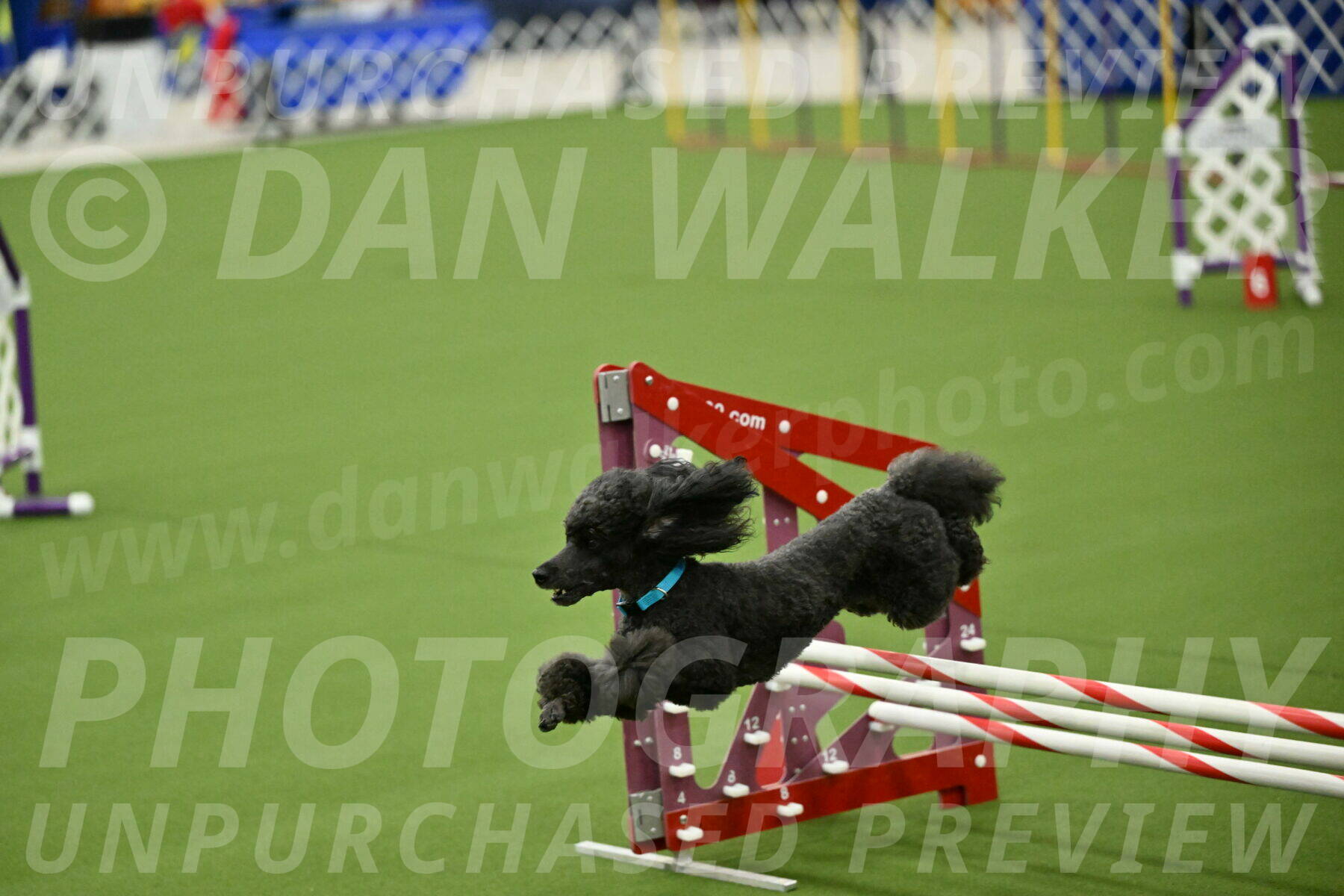 MAS-EX-JWW-16-Inch_2222