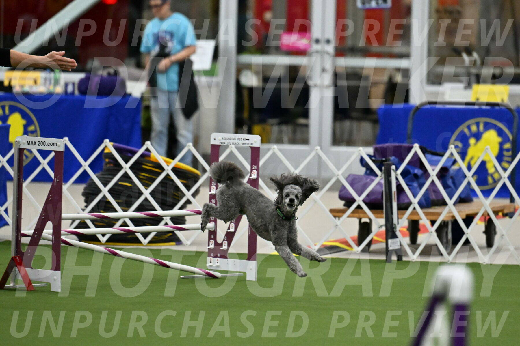 MAS-EX-JWW-16-Inch_2224