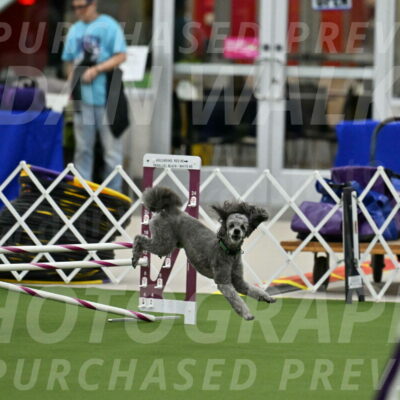 MAS-EX-JWW-16-Inch_2224