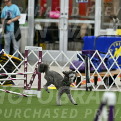 MAS-EX-JWW-16-Inch_2225