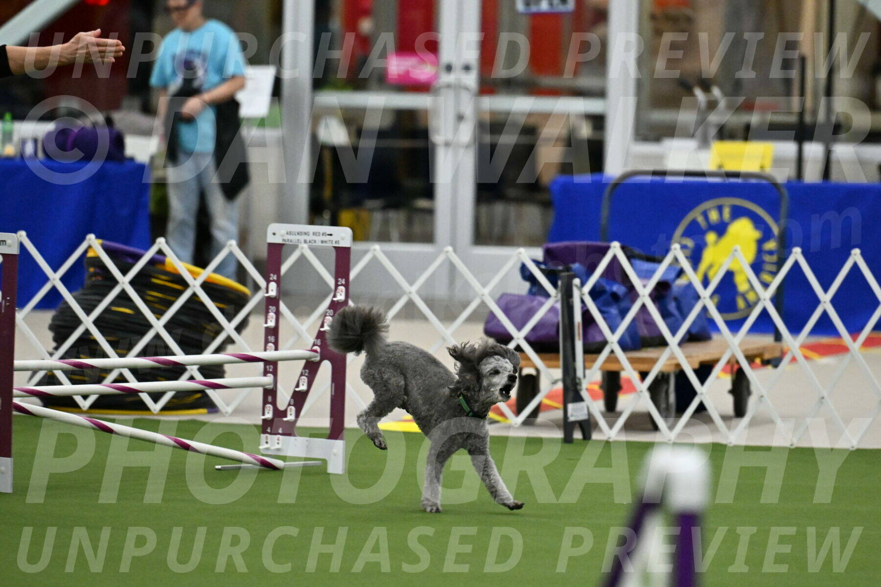 MAS-EX-JWW-16-Inch_2225