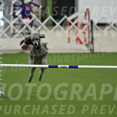 MAS-EX-JWW-16-Inch_2227