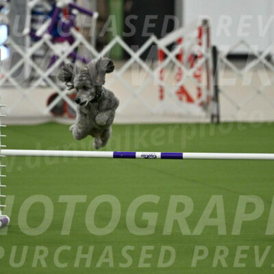 MAS-EX-JWW-16-Inch_2228