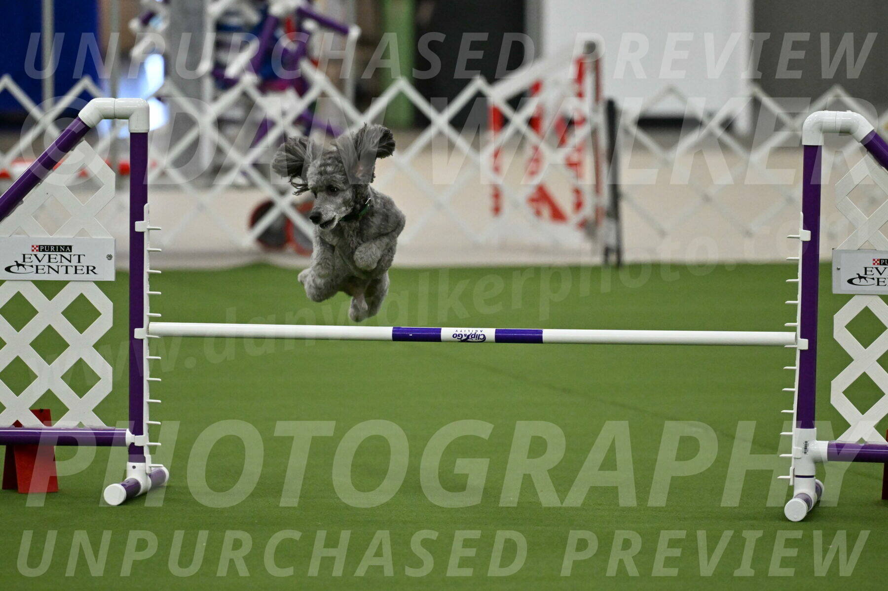 MAS-EX-JWW-16-Inch_2228