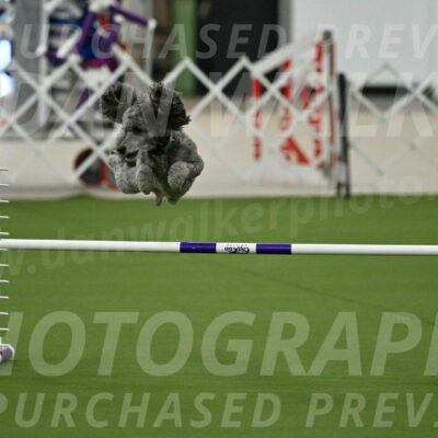 MAS-EX-JWW-16-Inch_2229