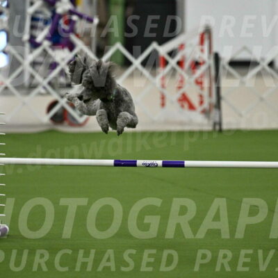 MAS-EX-JWW-16-Inch_2230