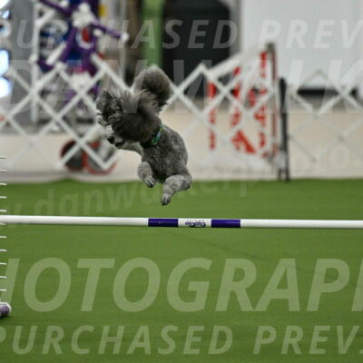 MAS-EX-JWW-16-Inch_2231