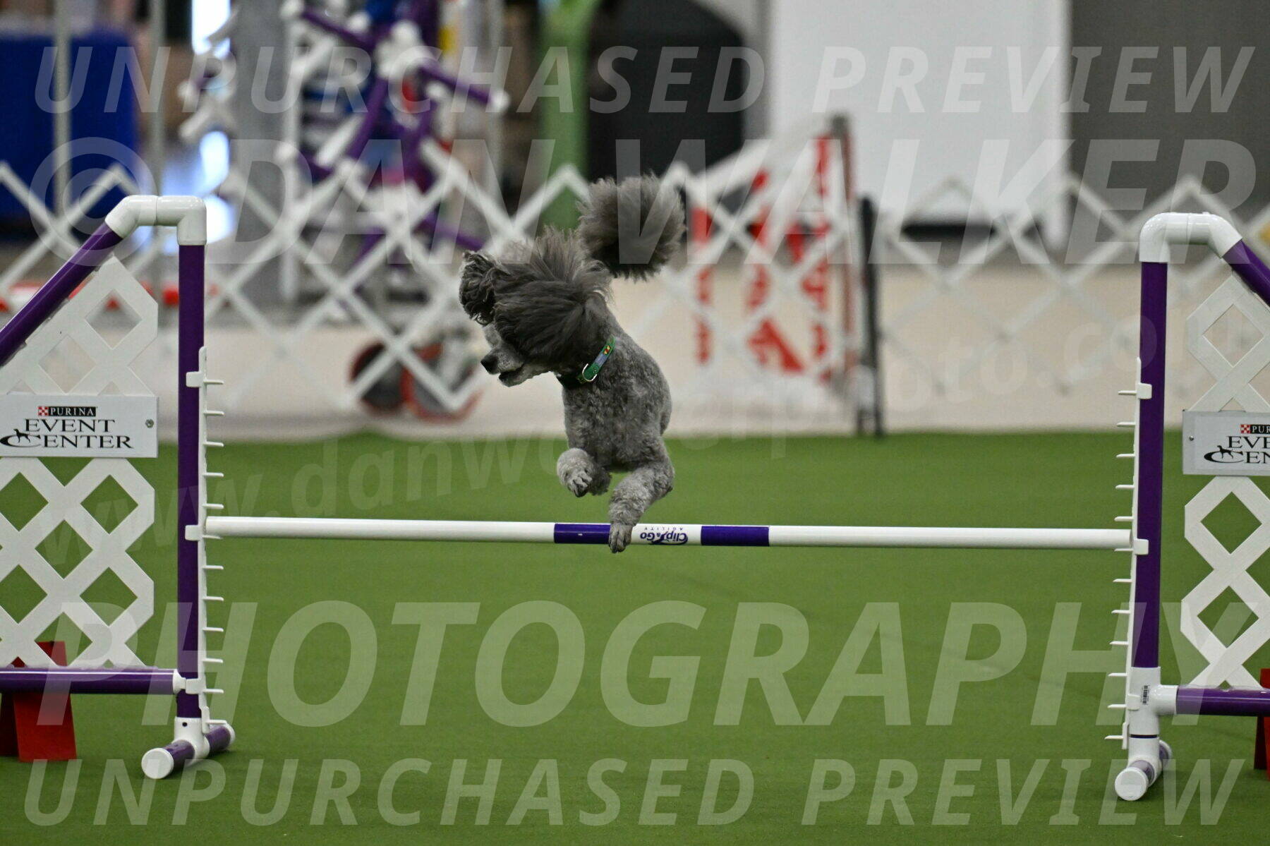 MAS-EX-JWW-16-Inch_2232