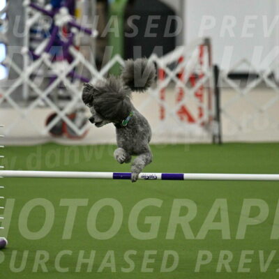 MAS-EX-JWW-16-Inch_2232