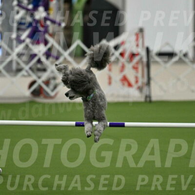 MAS-EX-JWW-16-Inch_2233