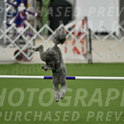 MAS-EX-JWW-16-Inch_2234