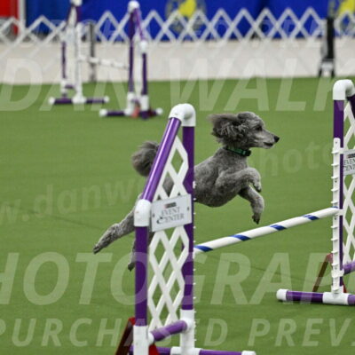 MAS-EX-JWW-16-Inch_2237