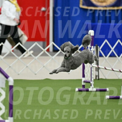 MAS-EX-JWW-16-Inch_2244