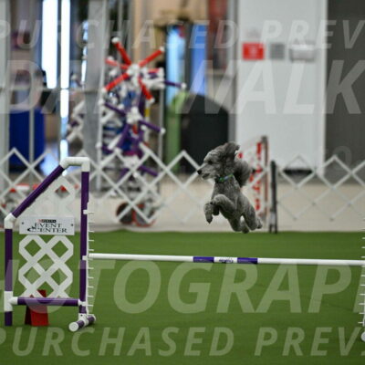 MAS-EX-JWW-16-Inch_2249