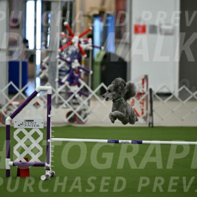 MAS-EX-JWW-16-Inch_2250