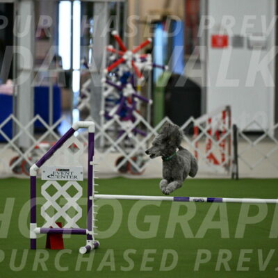 MAS-EX-JWW-16-Inch_2252