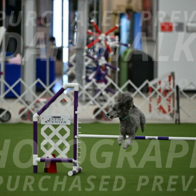 MAS-EX-JWW-16-Inch_2253