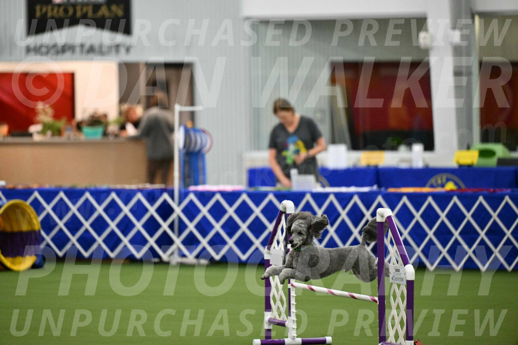 MAS-EX-JWW-16-Inch_2257