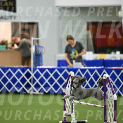 MAS-EX-JWW-16-Inch_2257