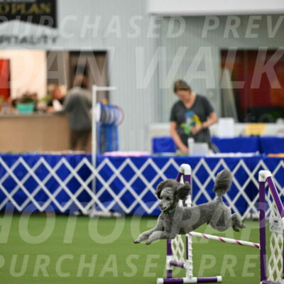 MAS-EX-JWW-16-Inch_2258