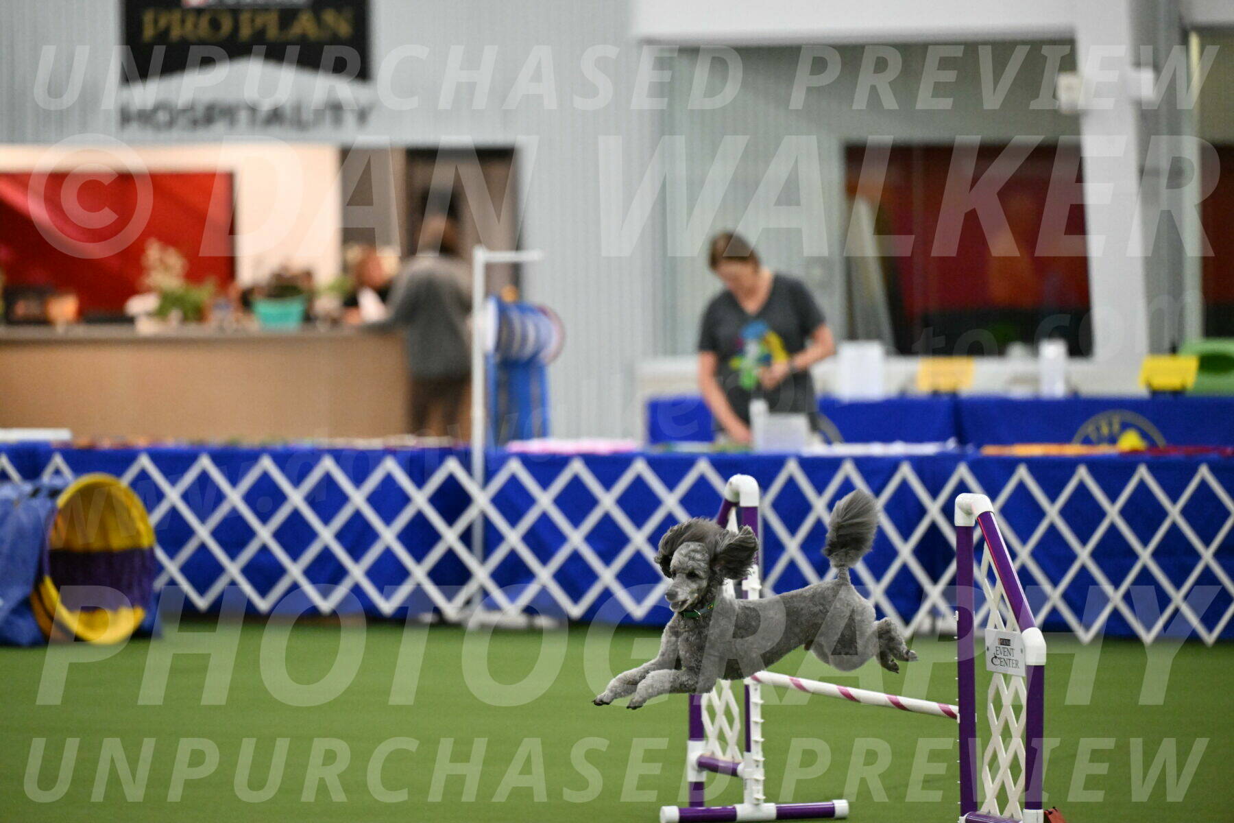 MAS-EX-JWW-16-Inch_2258