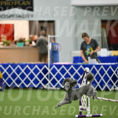 MAS-EX-JWW-16-Inch_2259