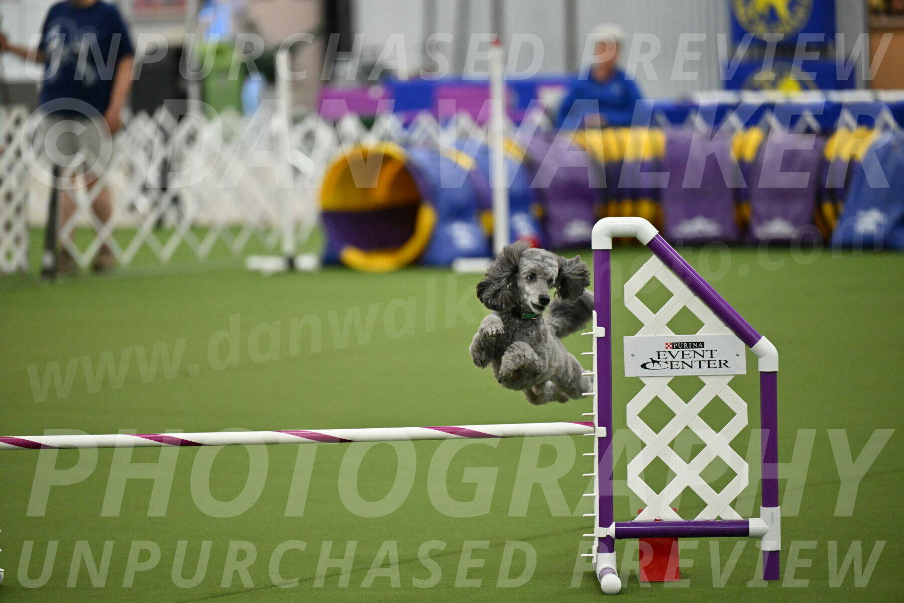 MAS-EX-JWW-16-Inch_2260