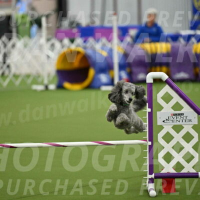 MAS-EX-JWW-16-Inch_2260