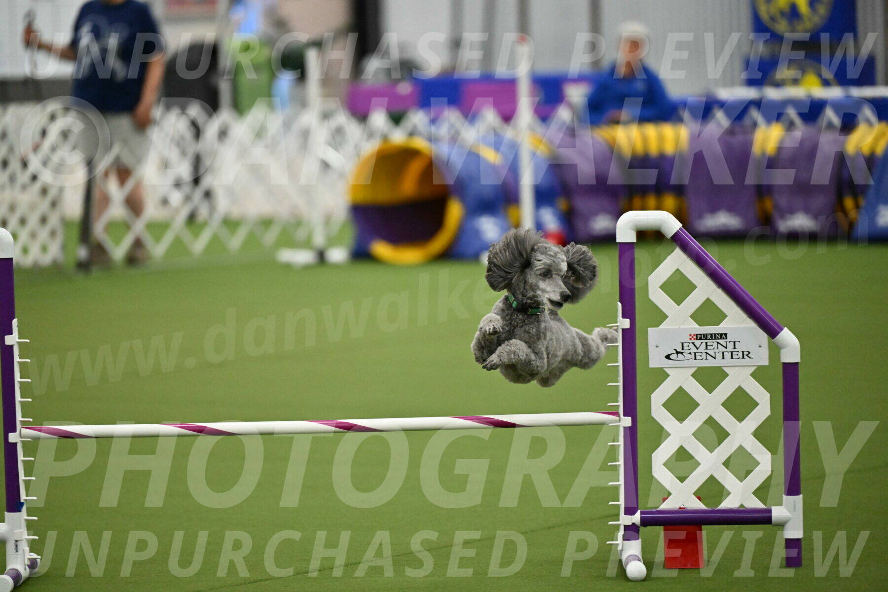 MAS-EX-JWW-16-Inch_2261