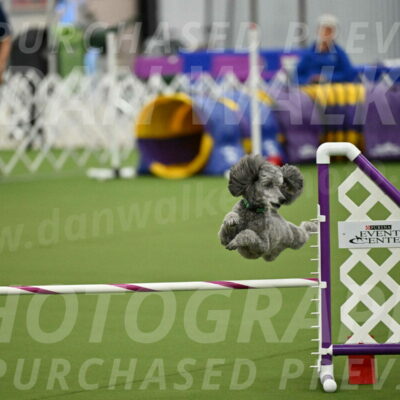 MAS-EX-JWW-16-Inch_2261