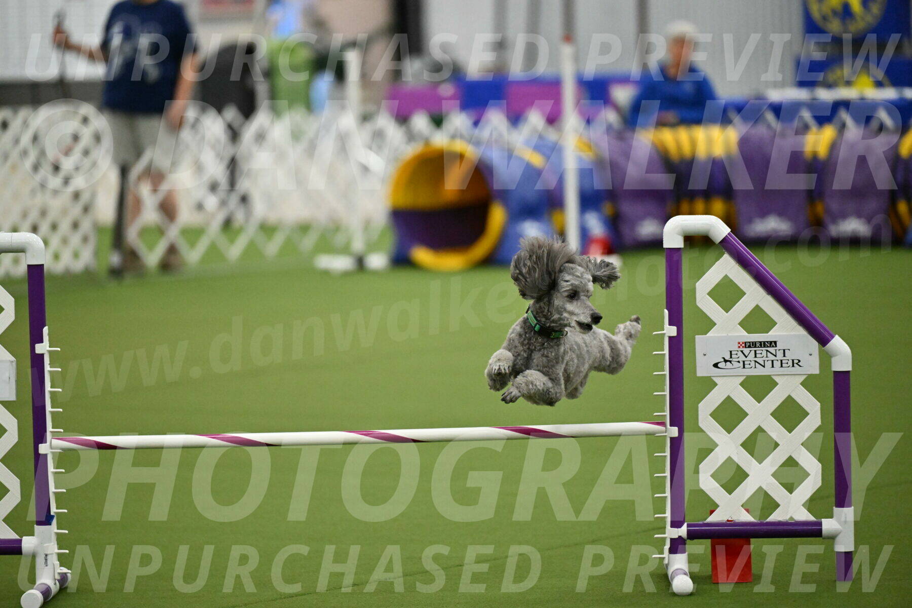 MAS-EX-JWW-16-Inch_2262