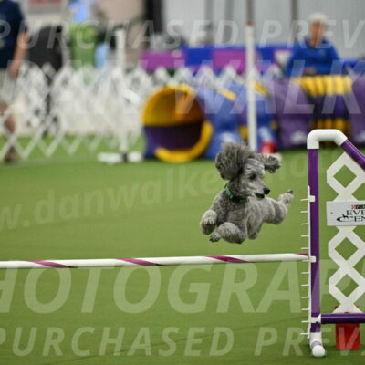 MAS-EX-JWW-16-Inch_2262