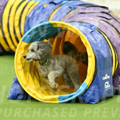 MAS-EX-JWW-16-Inch_2263