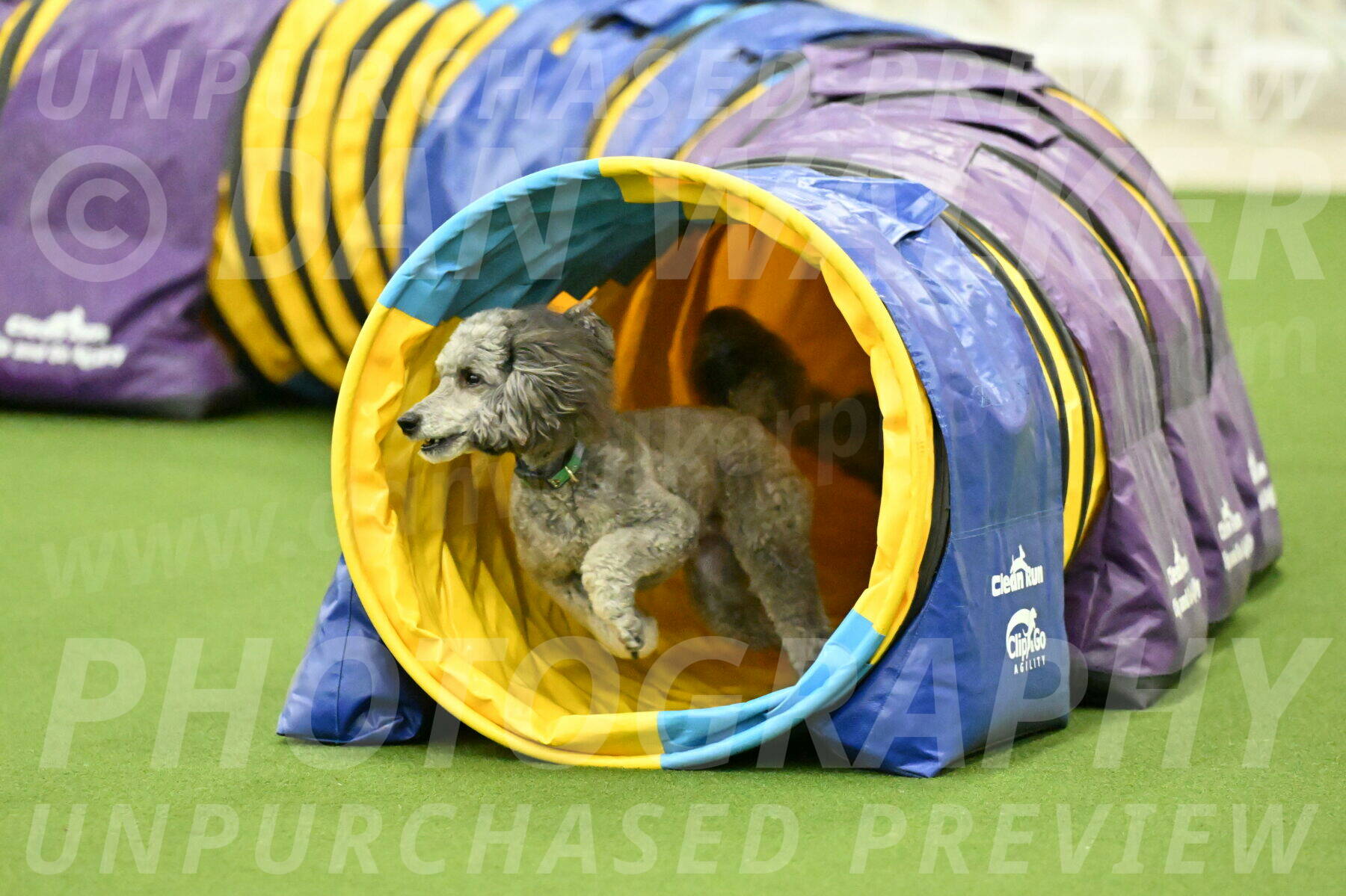 MAS-EX-JWW-16-Inch_2263