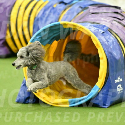 MAS-EX-JWW-16-Inch_2264