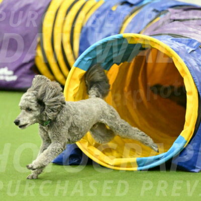 MAS-EX-JWW-16-Inch_2265