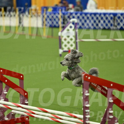 MAS-EX-JWW-16-Inch_2273